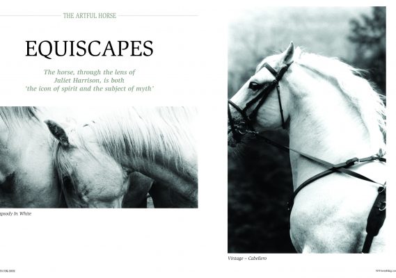 New York Horse Winter Issue 2