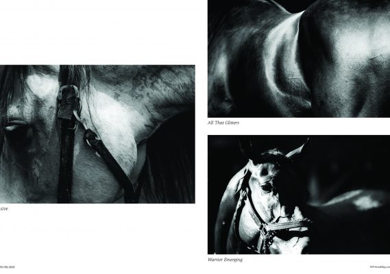 New York Horse Winter Issue 4